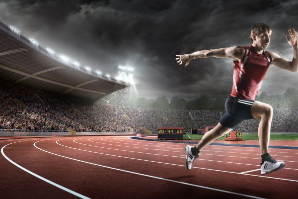 behind the scenes with team trainers