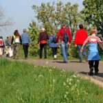 Guide to attending Super Bowl