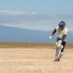 drs in cricket