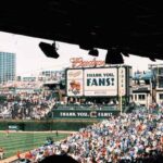 mlb farm system explained