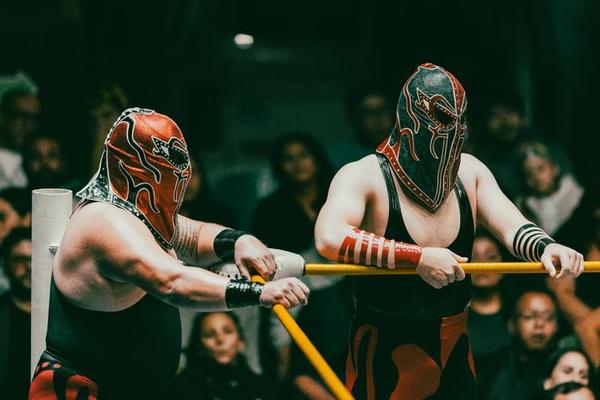 wrestling styles explained
